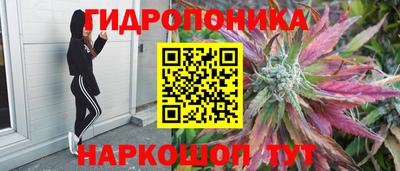 гидра Кумертау