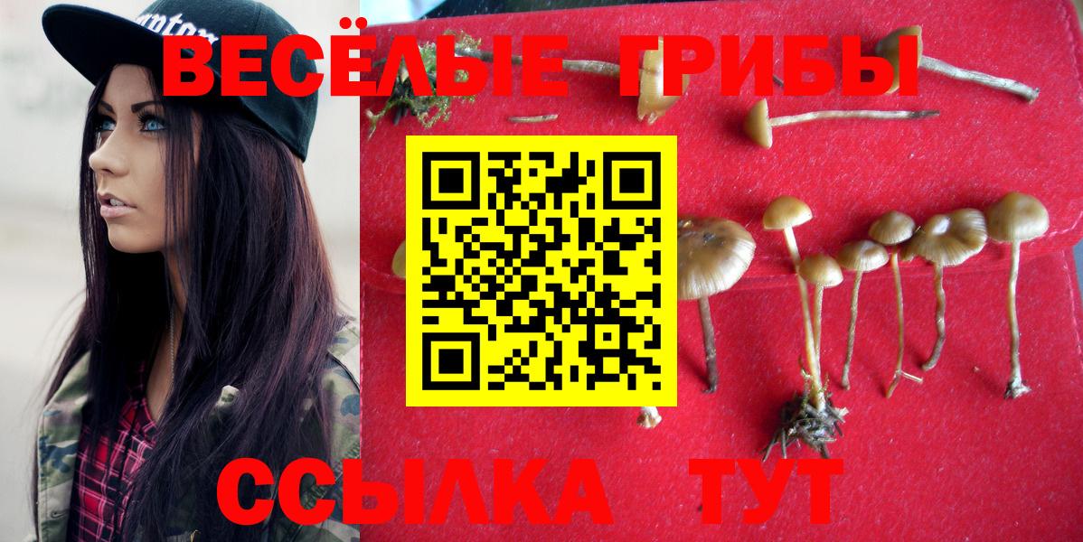 Галлюциногенные грибы мицелий Иваново