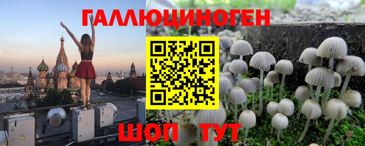 Галлюциногенные грибы MAGIC MUSHROOMS  Псилоцибиновые грибы GOLDEN TEACHER  где продают наркотики  Иваново  Вход с VPN 